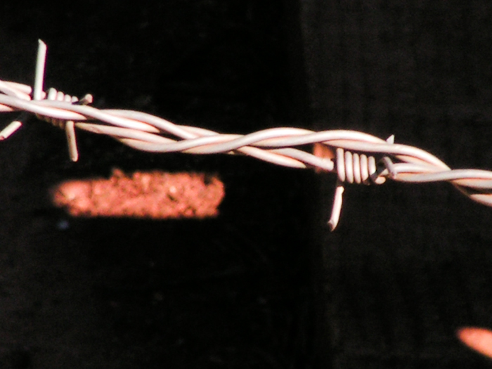 barbed wire