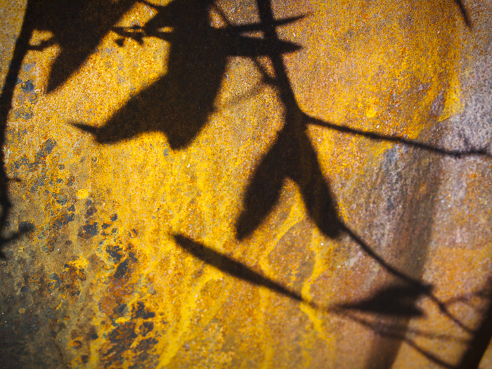 dancing shadows