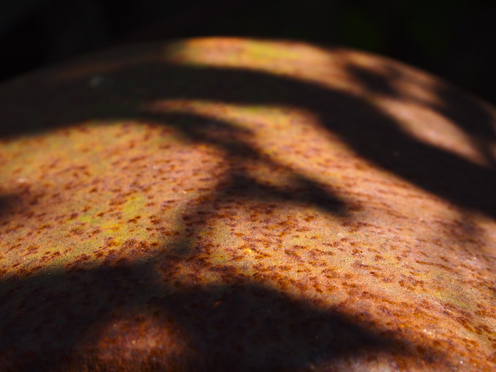 Shadows