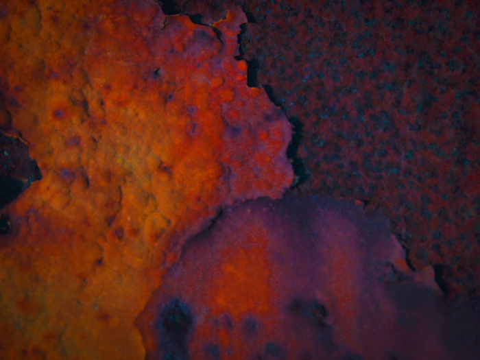 rust flowers