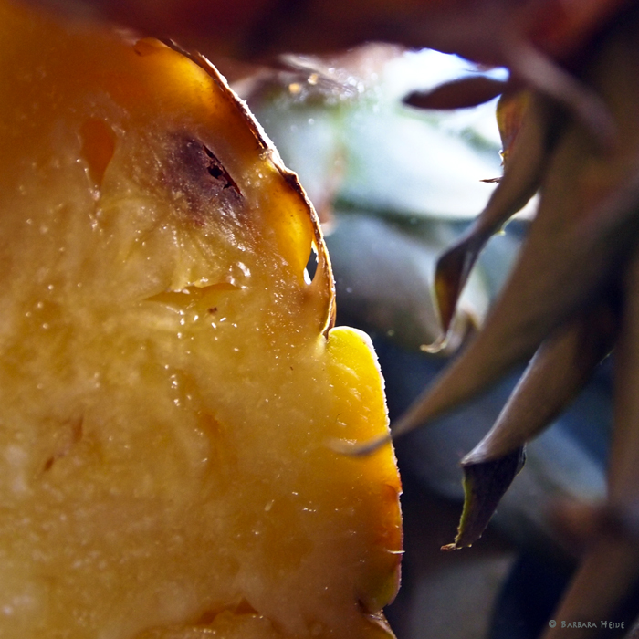 Pine-Apple