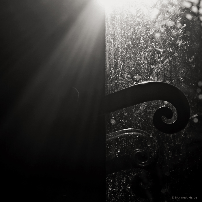 March 9 : Let the Sunshine in