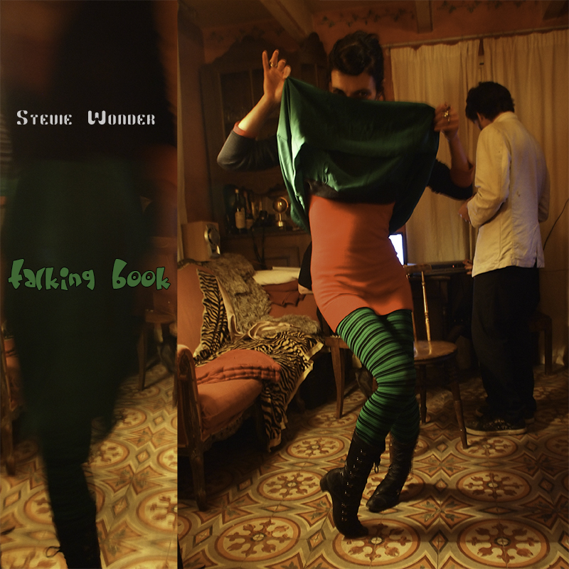Stevie Wonder Talking Book