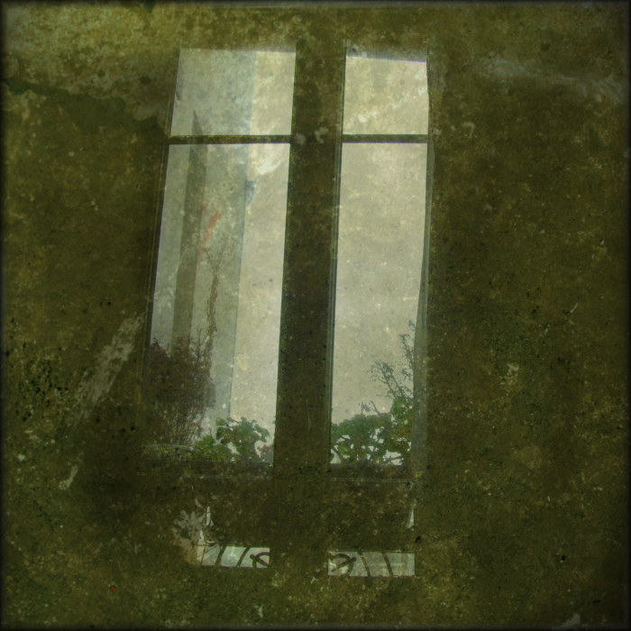 window