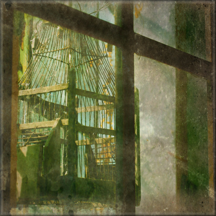 the other side of the window