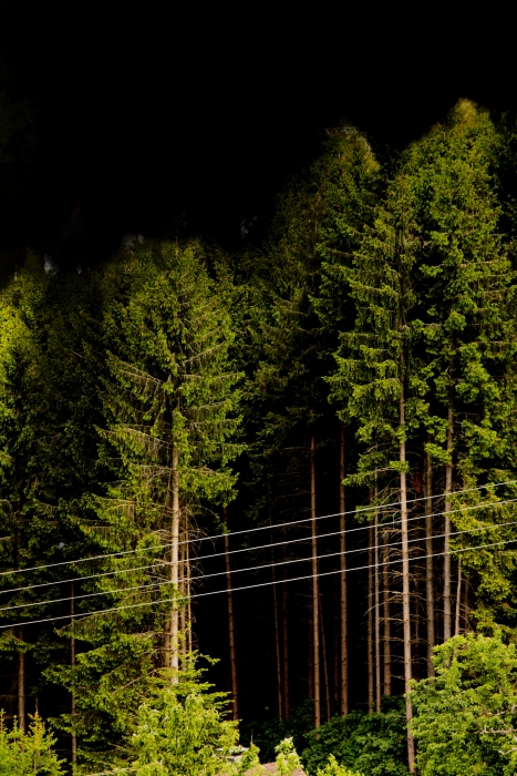 the darkness of the Black Forest