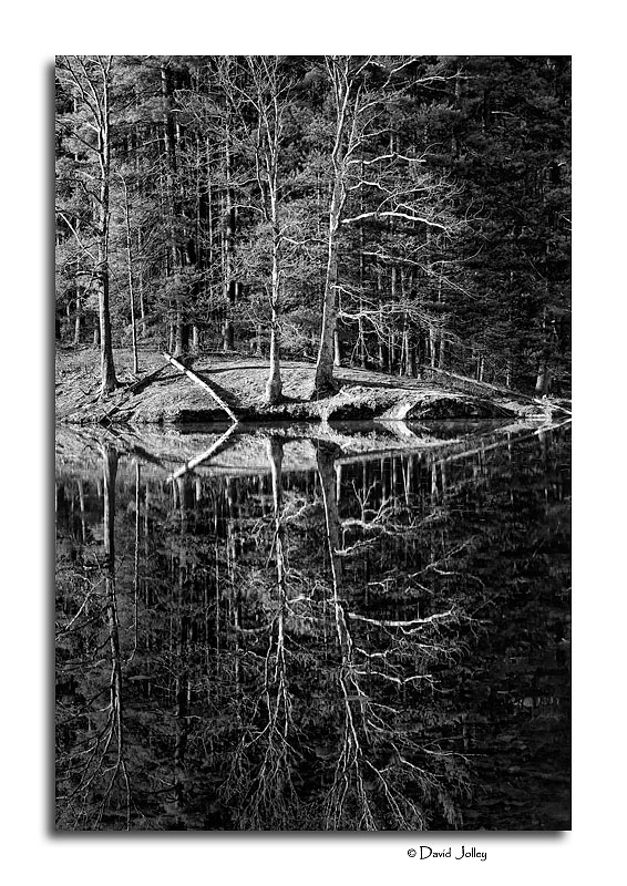 Reflection in Black & White