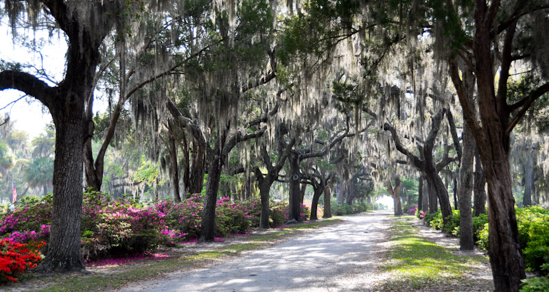 02-Bonaventure Cemetary 07.jpg