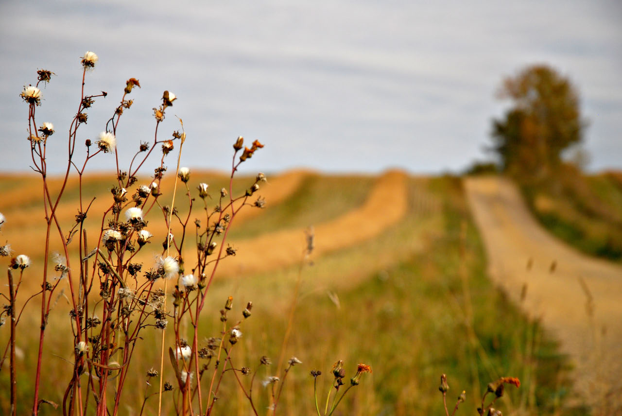 gravel farm road