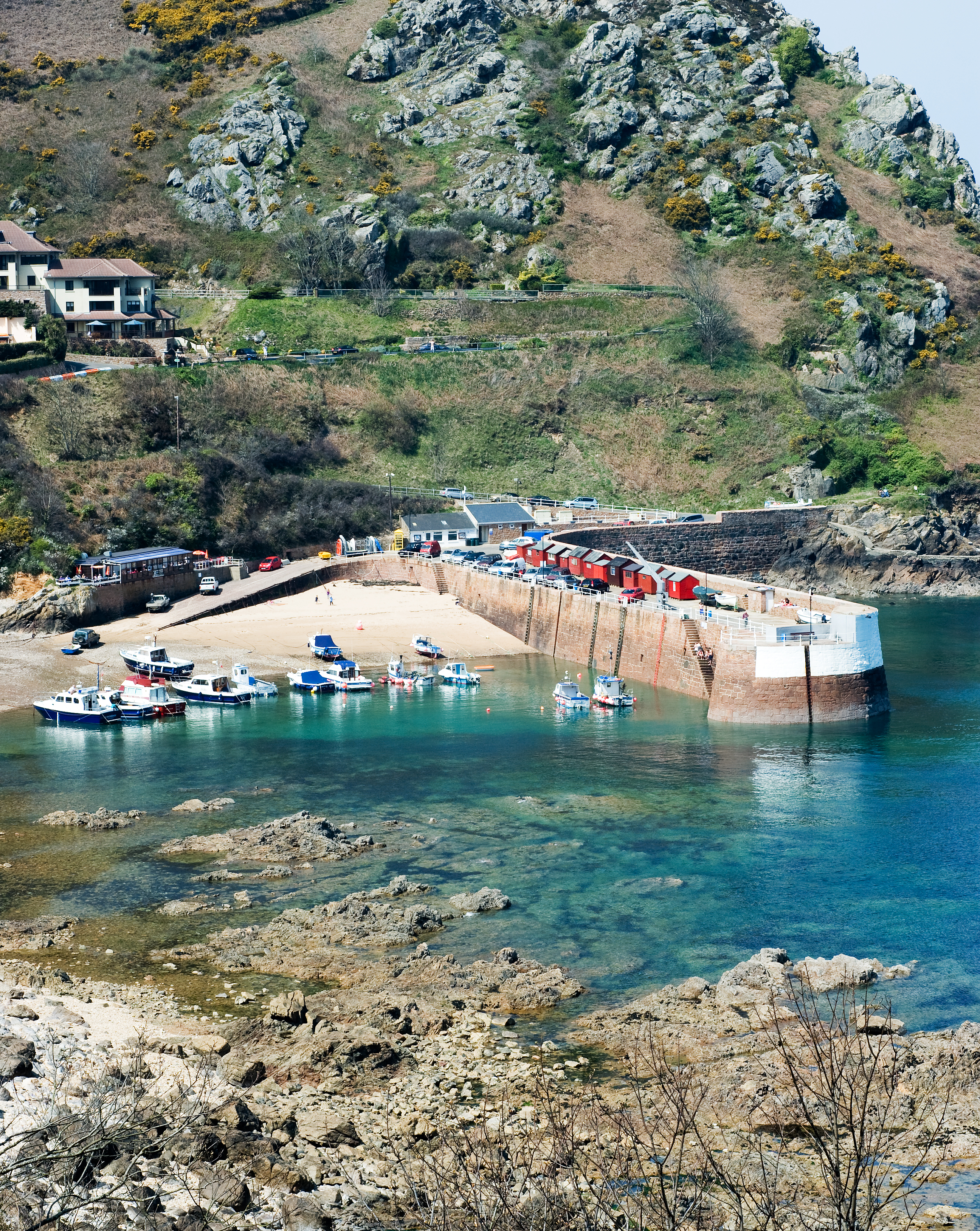 DSC_0049a.jpg