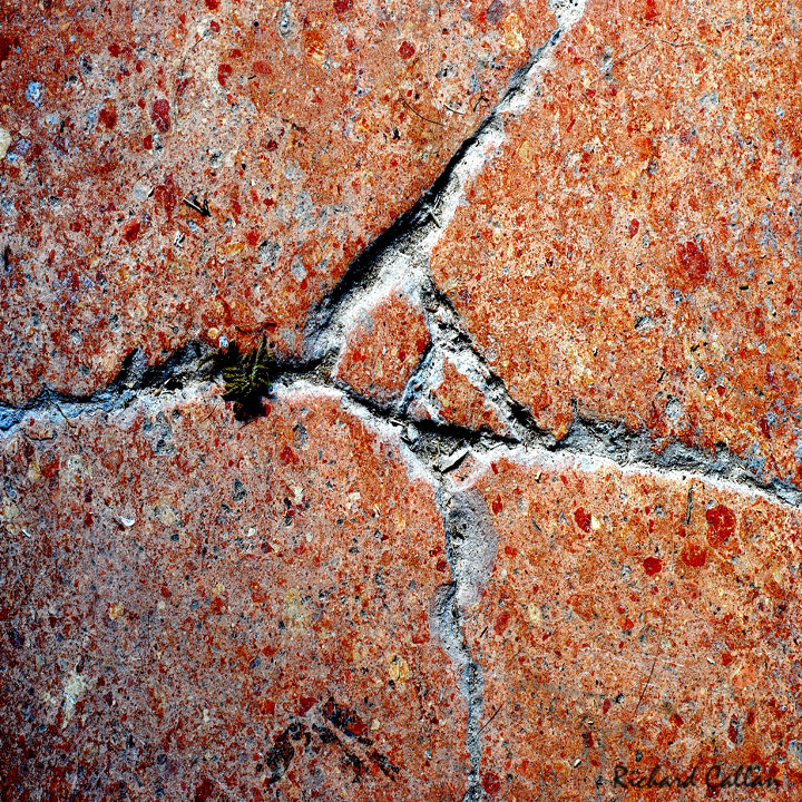 DSC_4707b.jpg