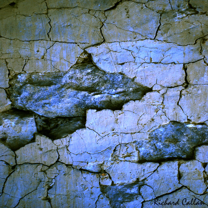 DSC_4780b.jpg