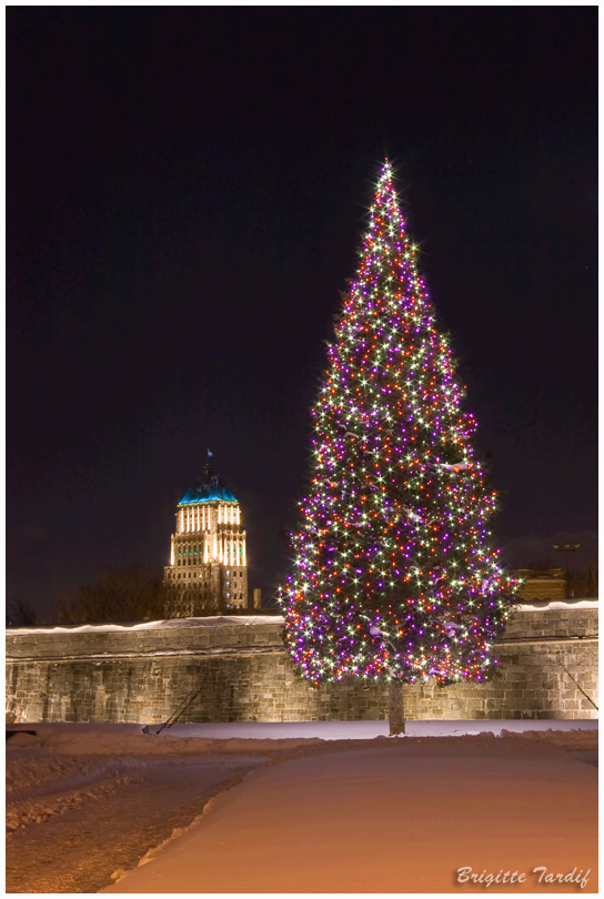 Sapin et difice Price