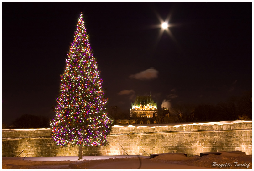 Sapin Noel ou Fete ?