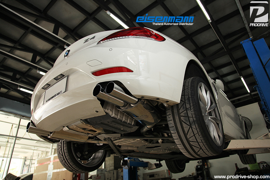 Eisenmann Z4 E89 Quad