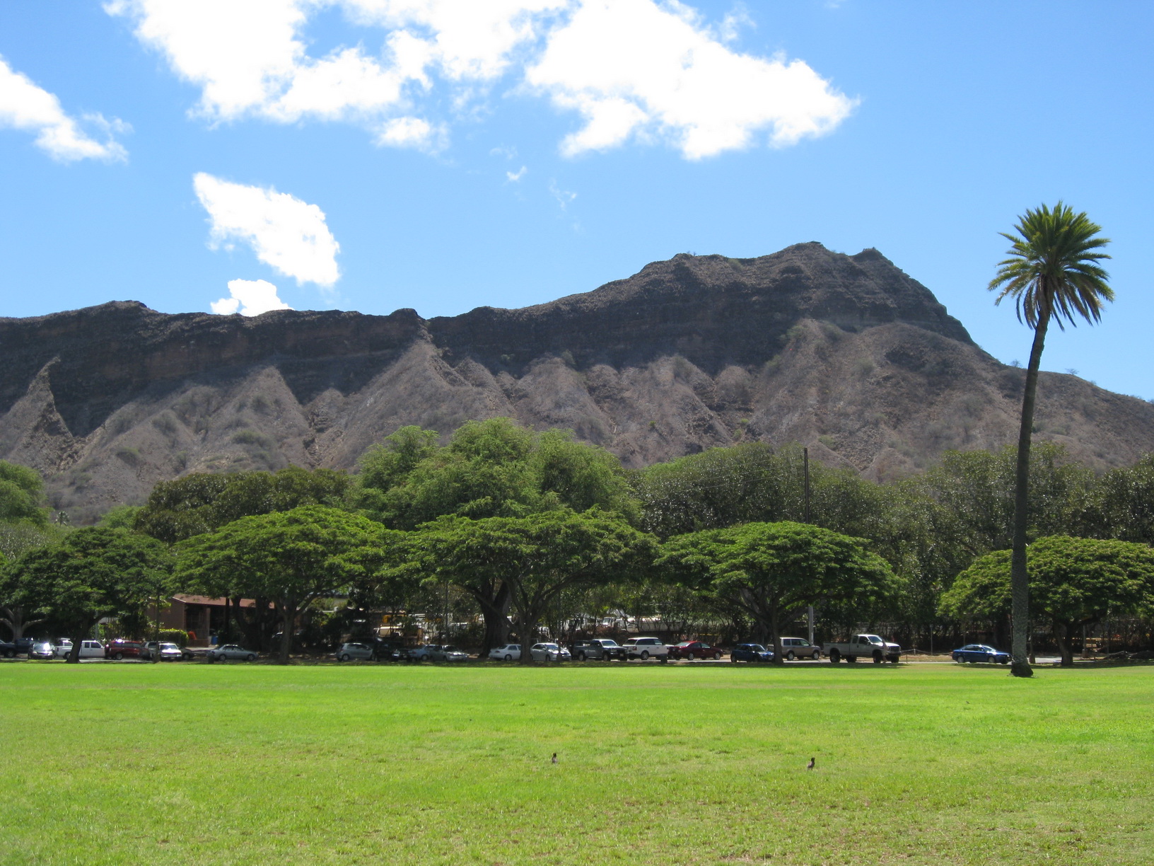 Diamond Head