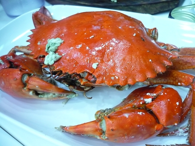 P1010115.JPG