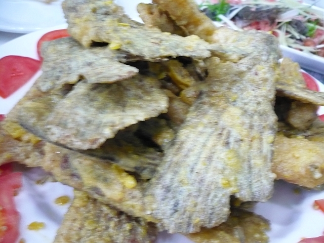 P1010122.JPG