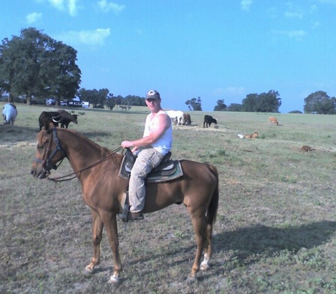 cowboy rancher horses.jpeg
