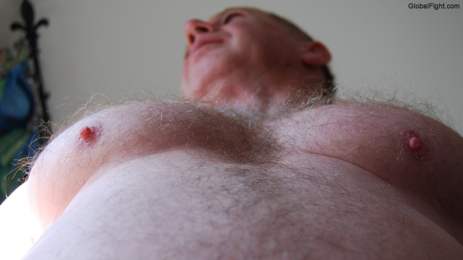 very hairy mans silver chest hair huge nips.jpg