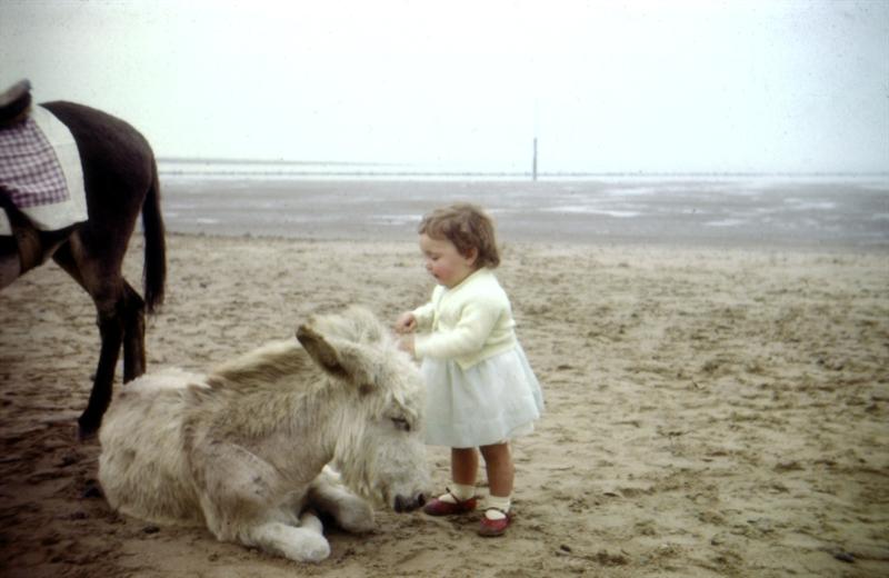 eIS2 slide 05 Kathy with donkeys