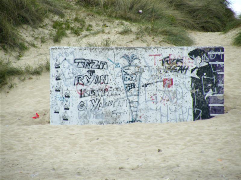DSCF9242 (Medium).JPG