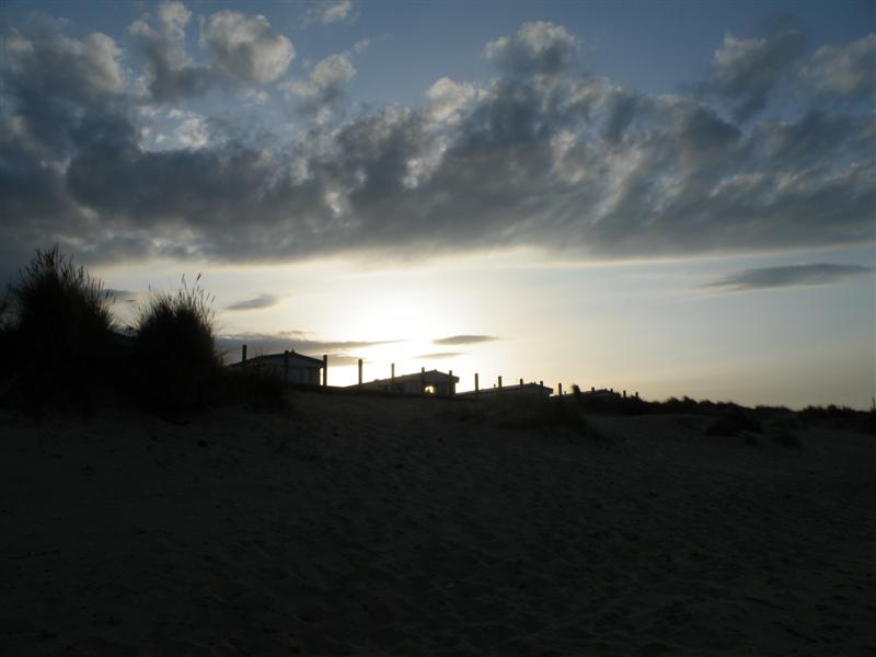 DSCF9318 (Medium).JPG