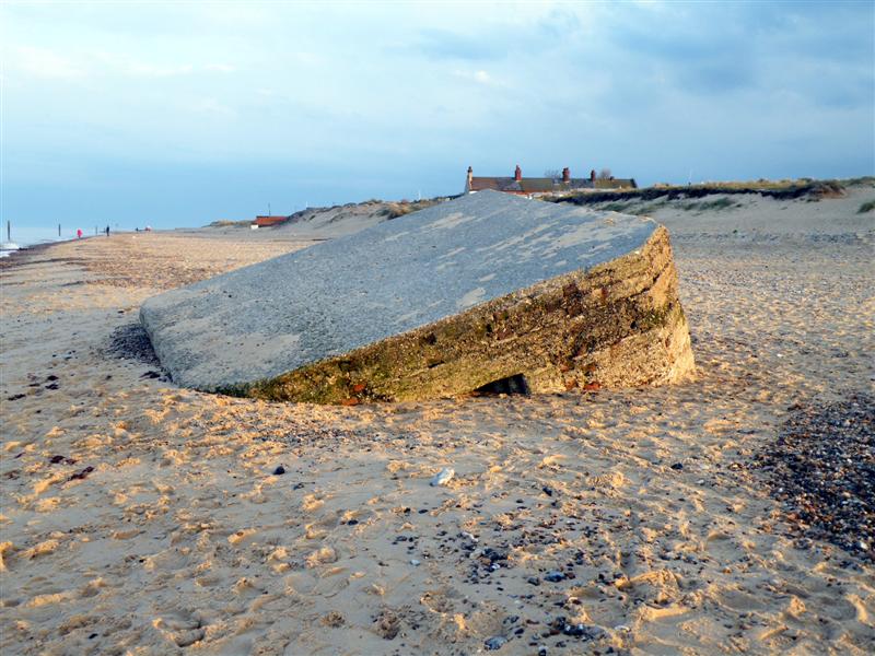 DSCF9337 (Medium).JPG