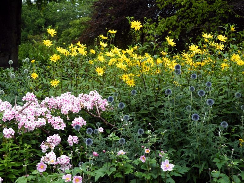 Botanic Gardens Sheffield