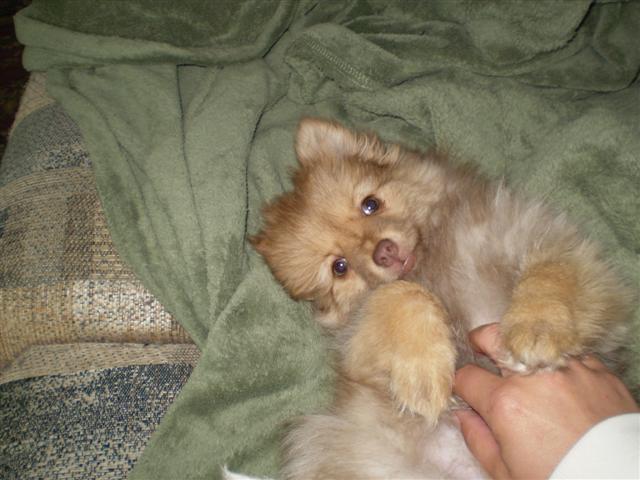 CoCo.JPG