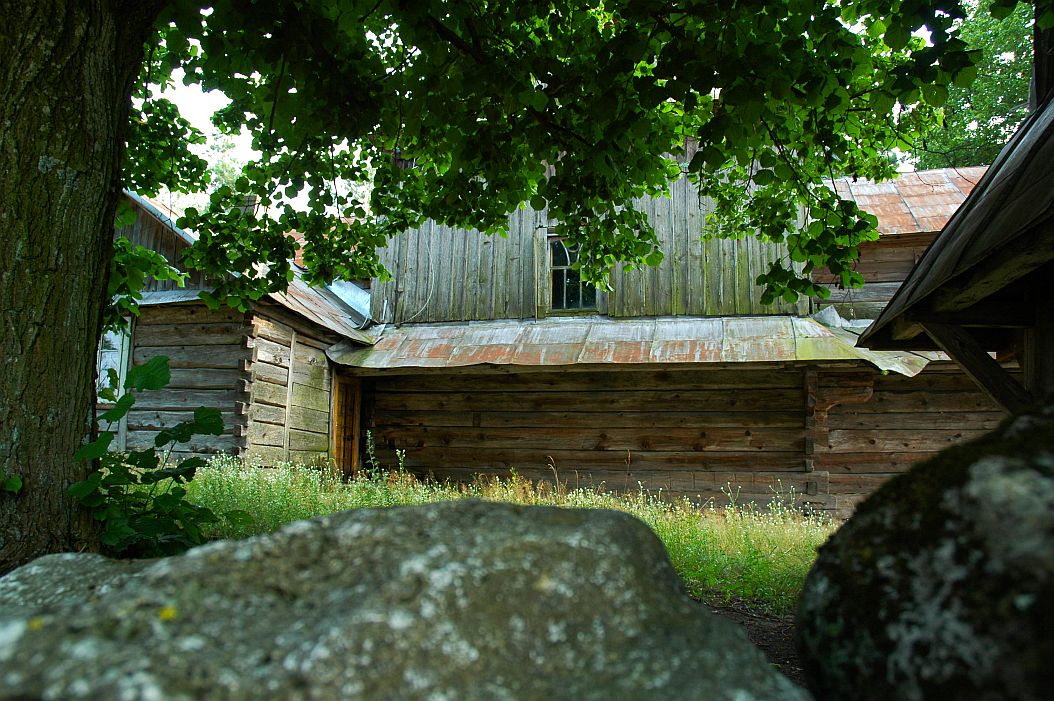 DSC_0065.jpg
