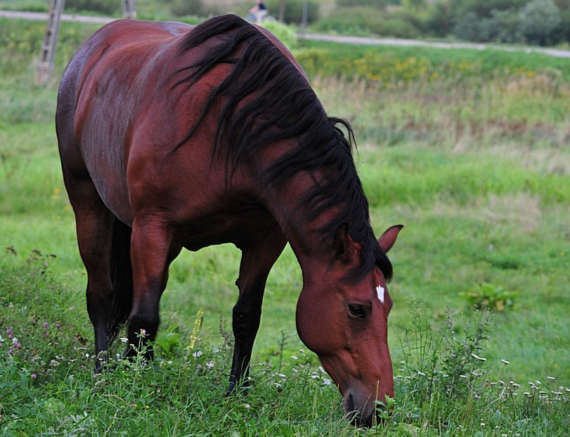 DSC_7684.jpg