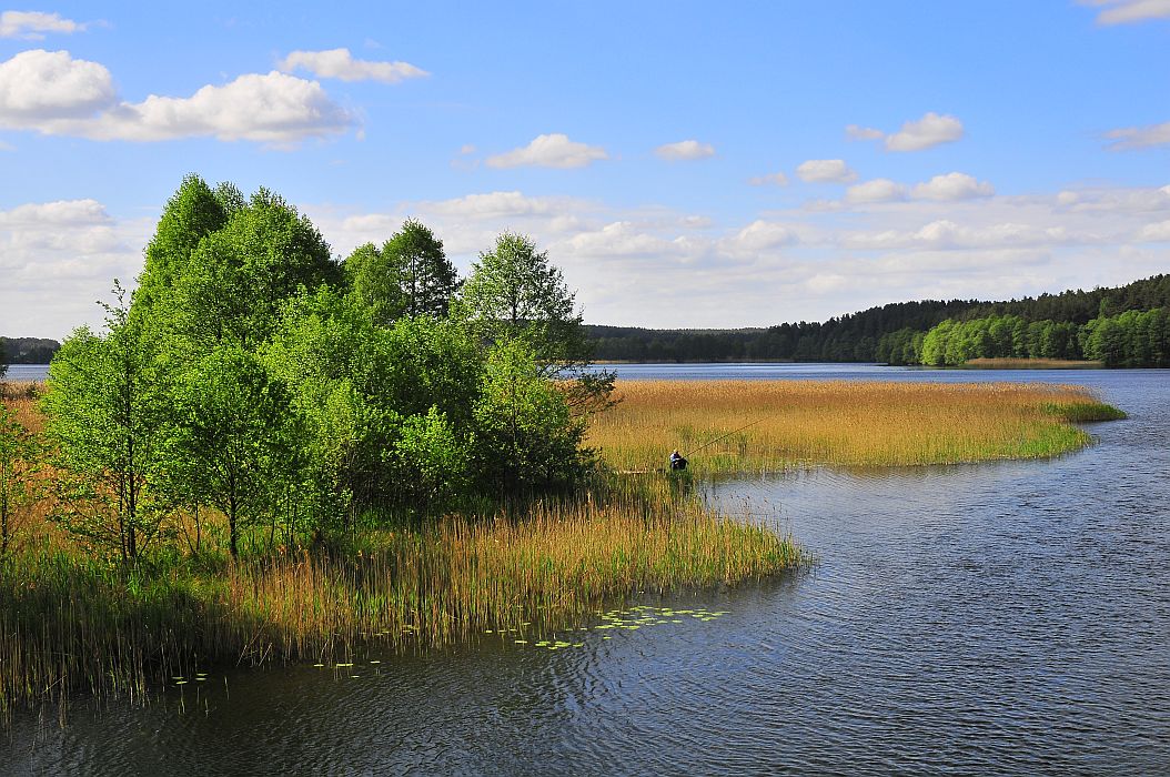 DSC_5928.jpg
