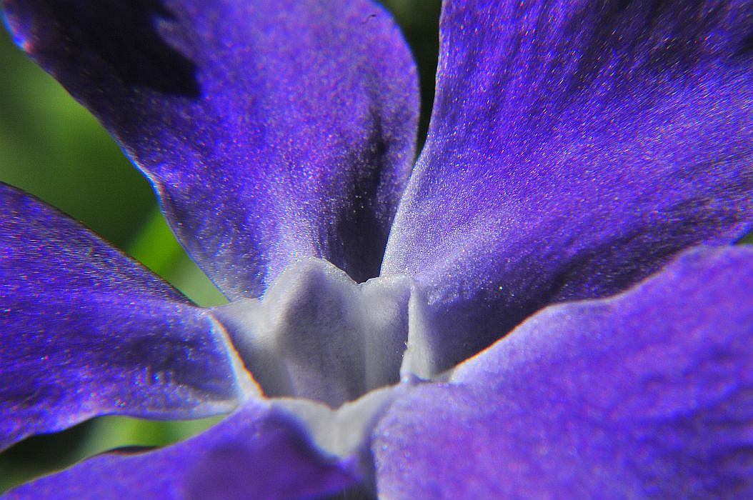DSC_3936.jpg