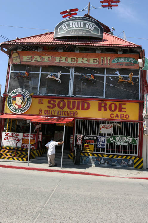Squid Roe