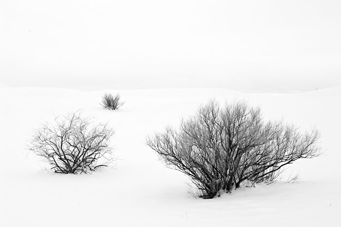 _IMI5278bw.jpg