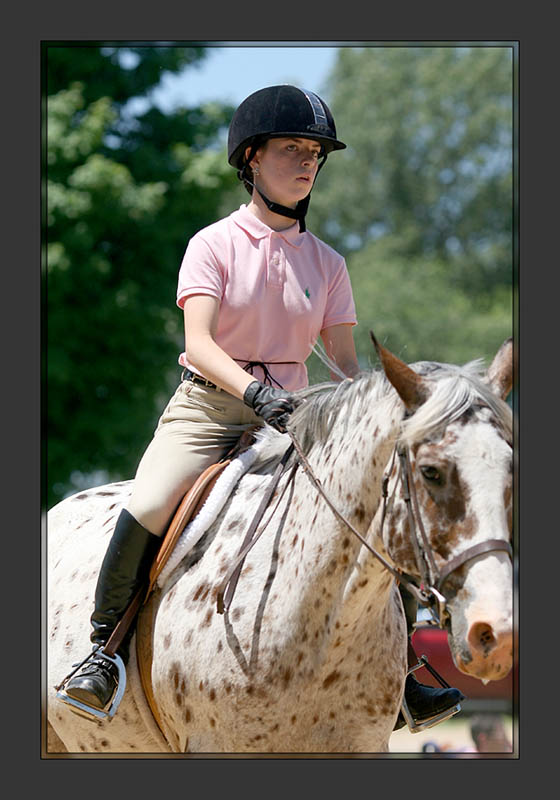 Horse Show