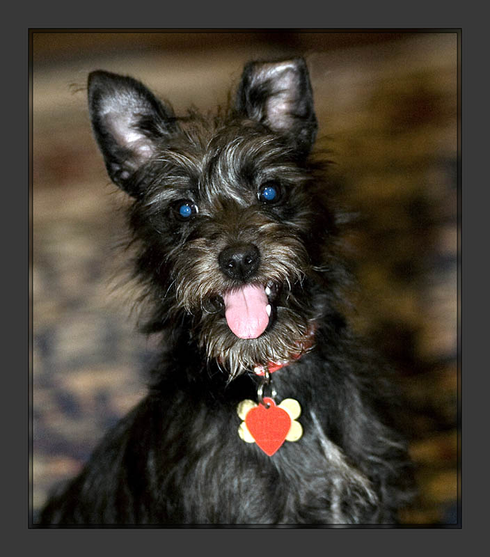 Allie says Happy Mothers Day!