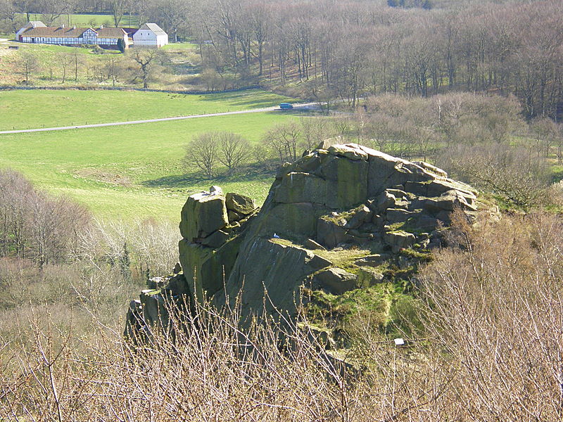 P4190501.JPG
