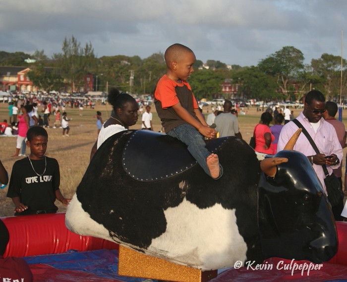 Bull Ride