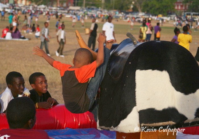 Bull Ride