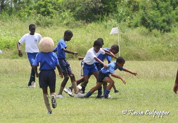 BICO Primary Schools Football