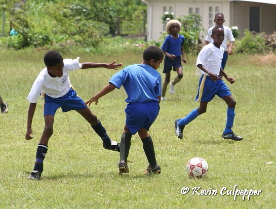 BICO Primary Schools Football