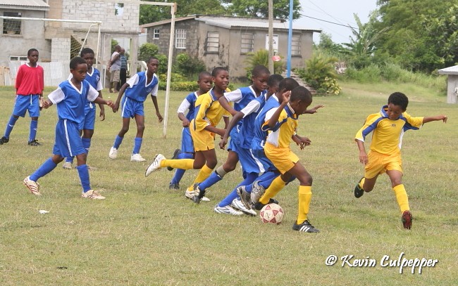 BICO Primary Schools Football