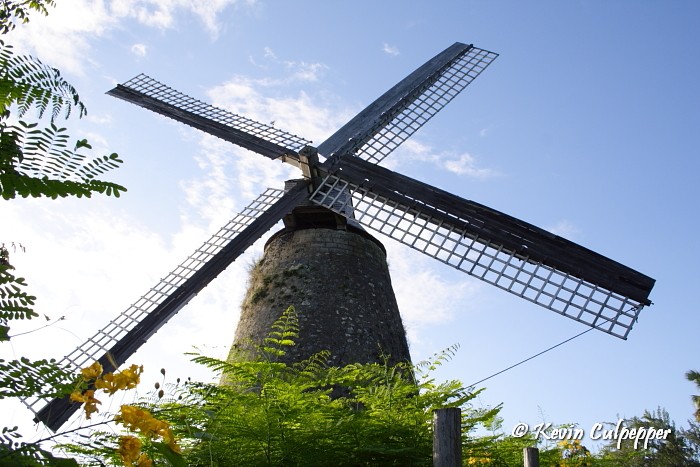 Morgan Lewis Mill