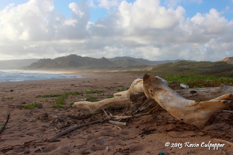 Morgan Lewis Beach