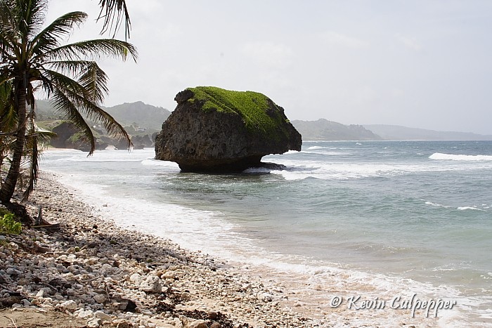 Rock at Bathsheba