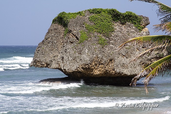 Rock at Bathsheba