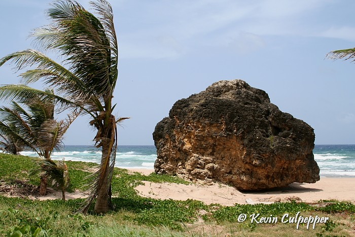 Rock at Bathsheba