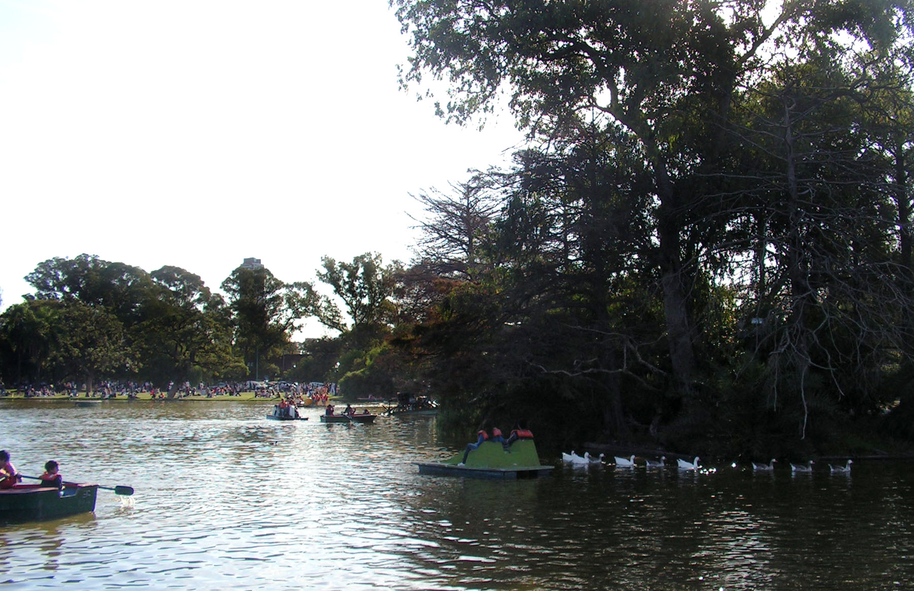PICT0001R.jpg